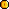 gold coin